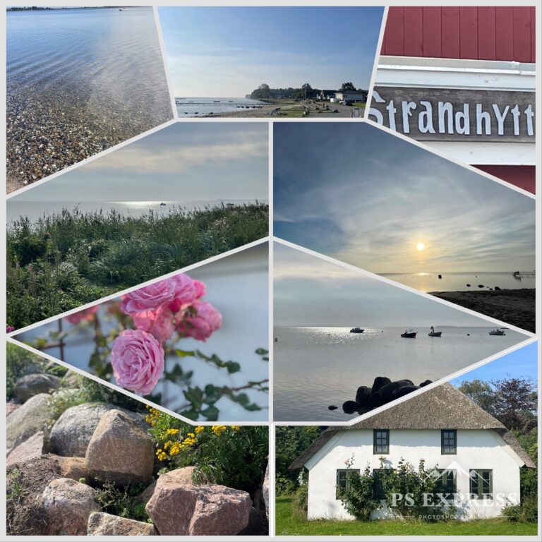 Blog 1 Roll on Dänemark 