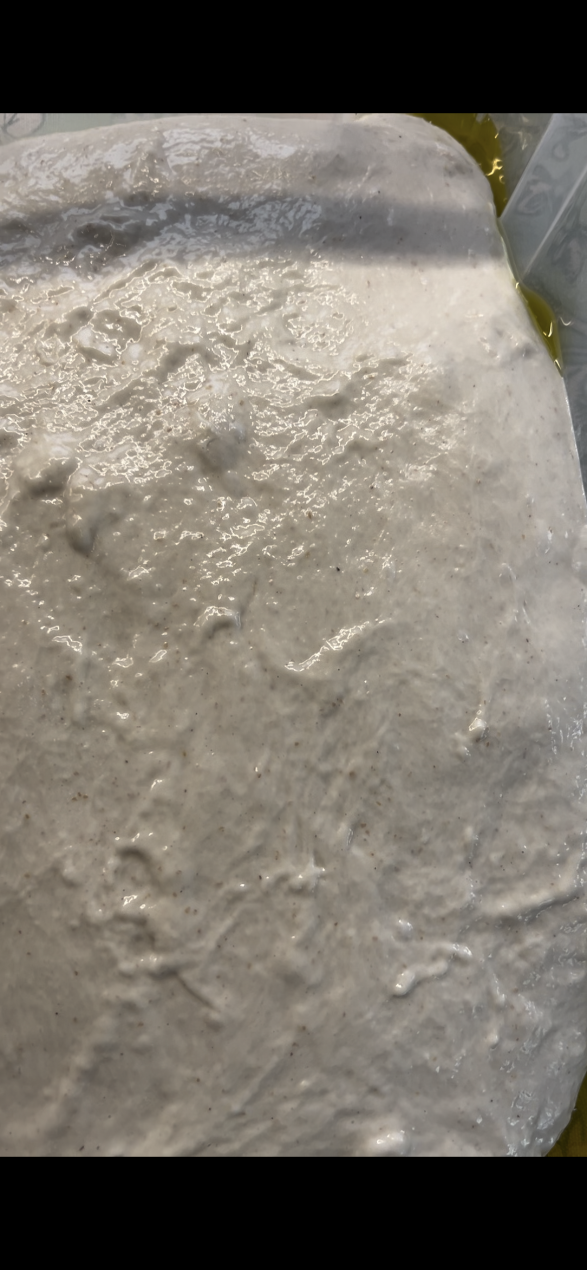Focaccia Hauptteig
