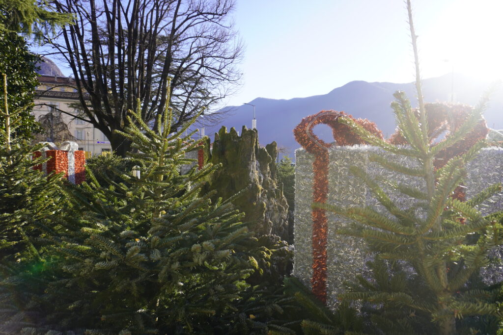 Lugano, Schweizer Alpen, Reisen, Weihnachten