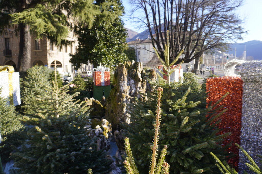 Lugano, Schweizer Alpen, Reisen, Weihnachten