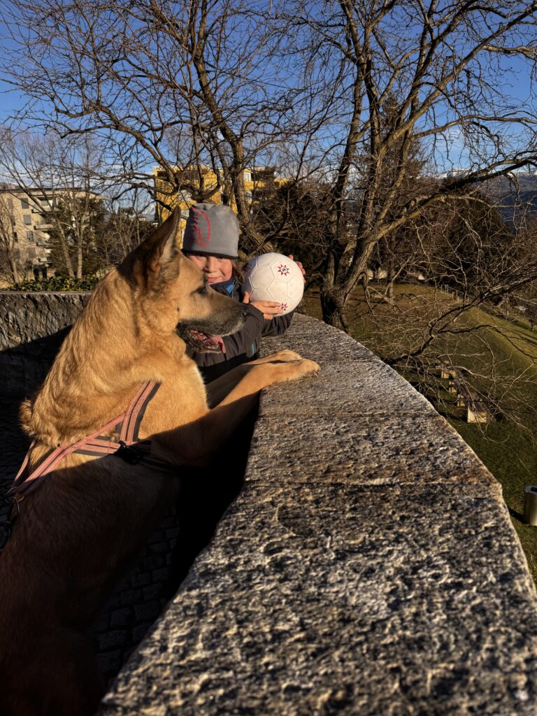 Lugano, Schweizer Alpen, Reisen, Weihnachten